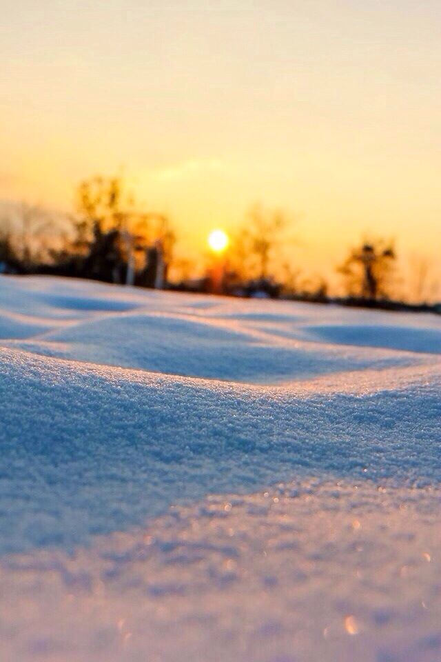 20140126-213401.jpg
